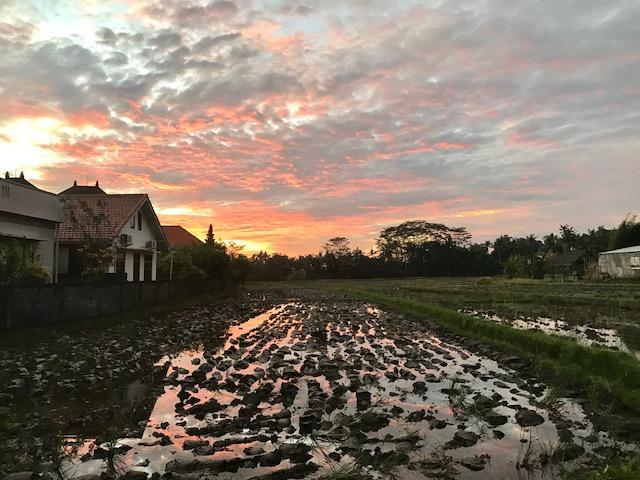 Heavenly View Villa Ubud Esterno foto