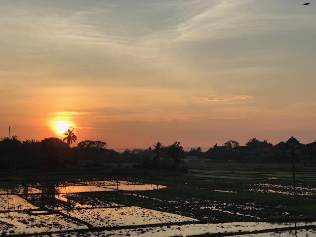 Heavenly View Villa Ubud Esterno foto