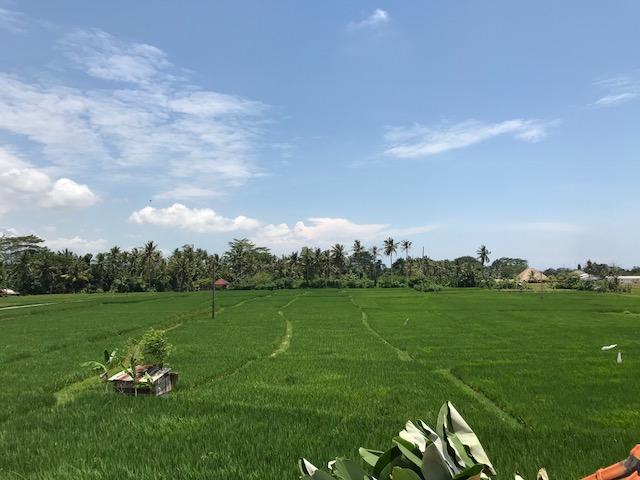 Heavenly View Villa Ubud Esterno foto