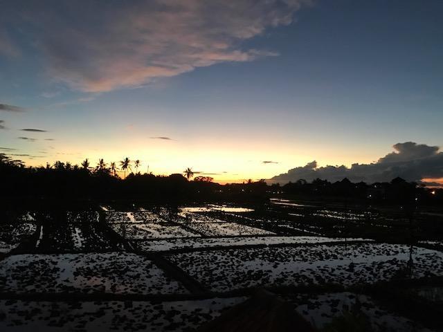 Heavenly View Villa Ubud Esterno foto