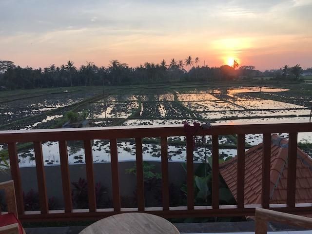 Heavenly View Villa Ubud Esterno foto