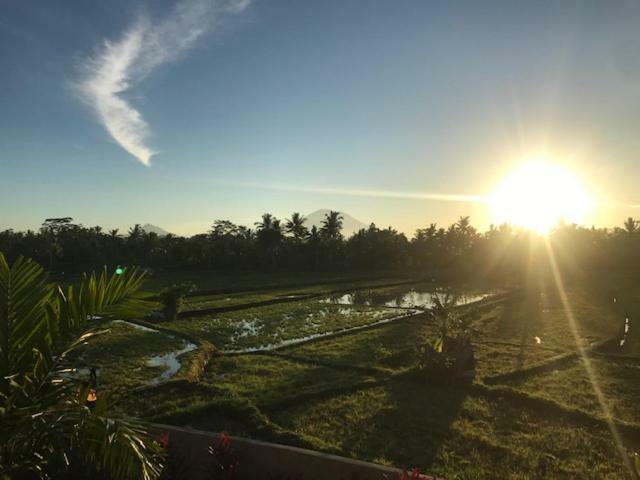 Heavenly View Villa Ubud Esterno foto