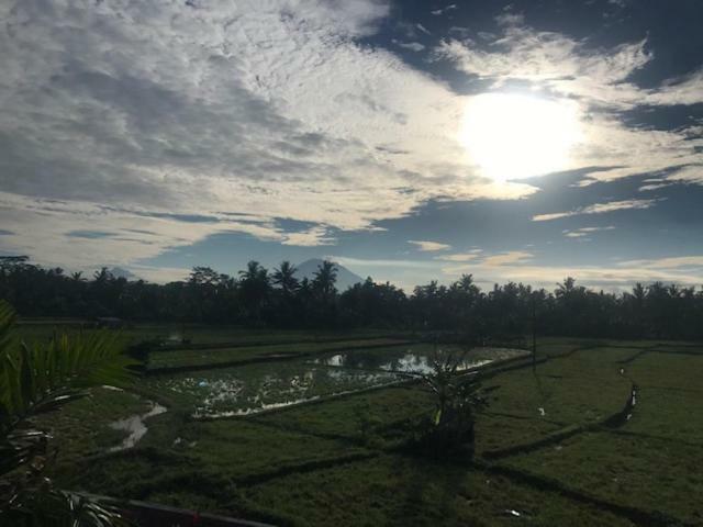 Heavenly View Villa Ubud Esterno foto